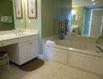 Master Bath Jacuzzu
